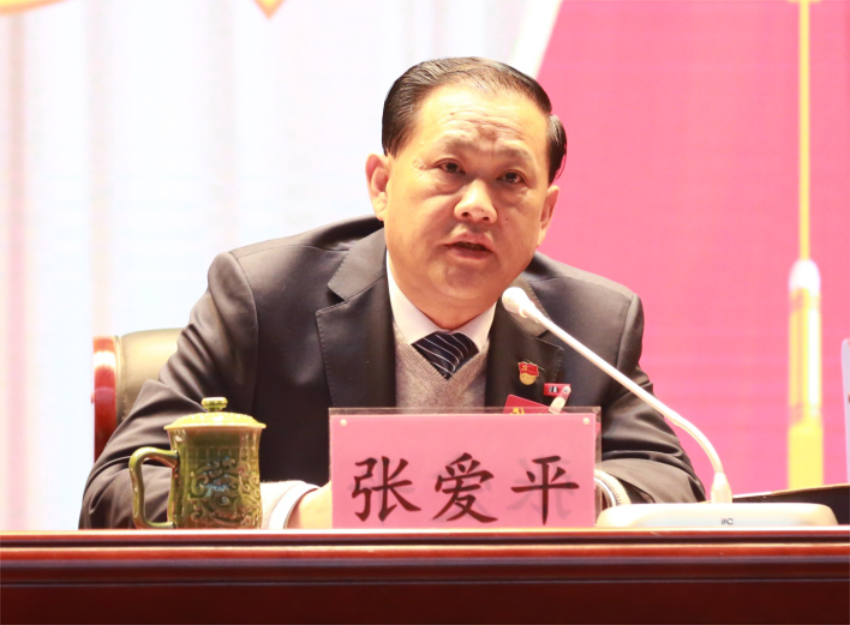 張愛平同志宣讀中共徐州寶潤實業(yè)集團第一屆黨委成員分工及紀(jì)委成員分工